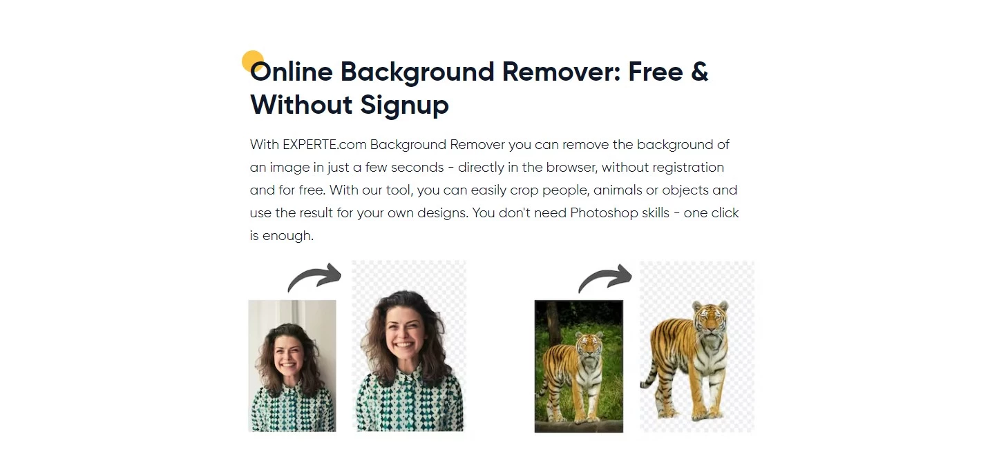 Experte Free Ai Background Removal